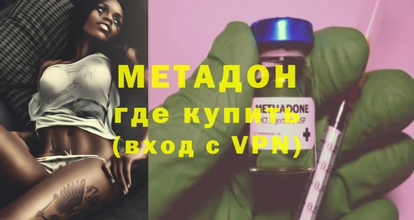 сатива Карпинск