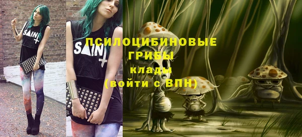 эйфоретик Верея