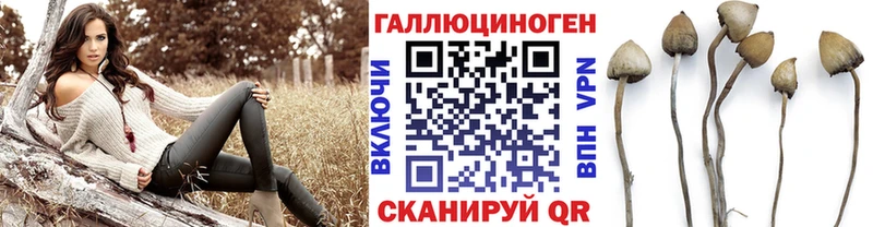 mega зеркало  Гай  Псилоцибиновые грибы прущие грибы 