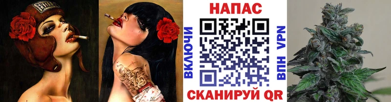 Каннабис сатива  блэк спрут рабочий сайт  Гай 